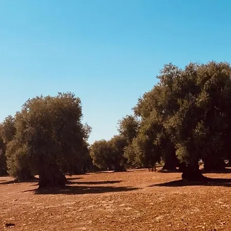 Casa Flami 2 Ostuni